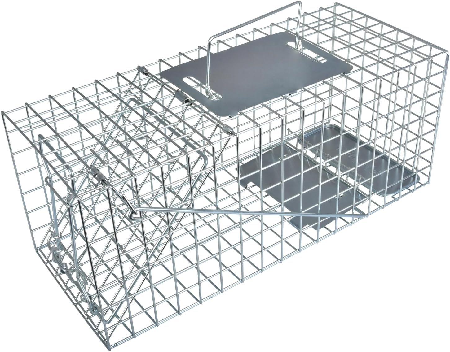 Squirrel live-capture cage trap